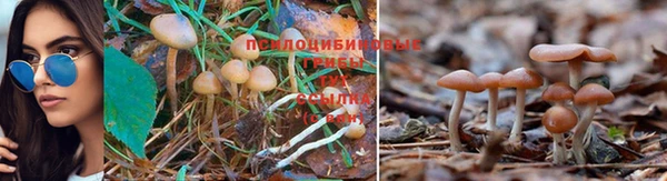 гашишное масло Бугульма