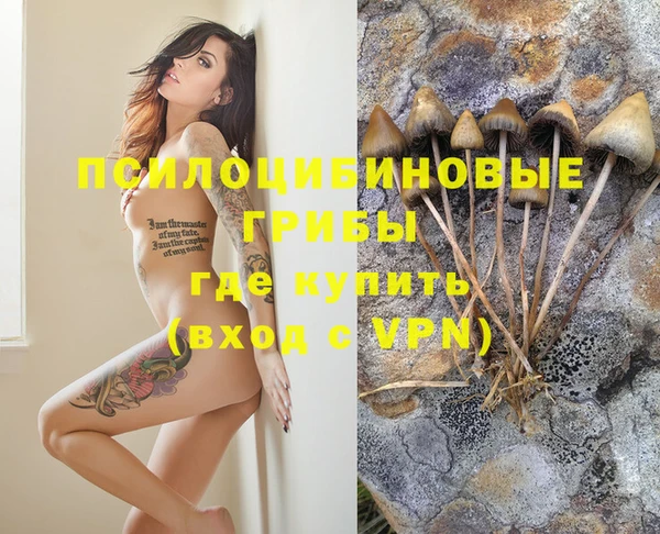 бошки Богородицк